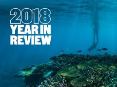 2018 Year in Review cover 2.jpg