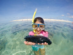 Child with sea cucumber