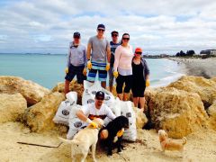 Beach clean-up