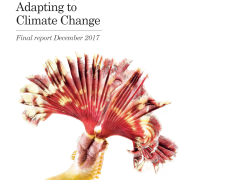 Final Report Resilient Reefs Adapting to CC.png