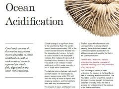 Ocean Acidification.JPG