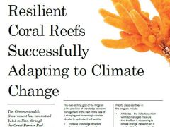 Resilient Coral Reefs Fact Sheet.JPG