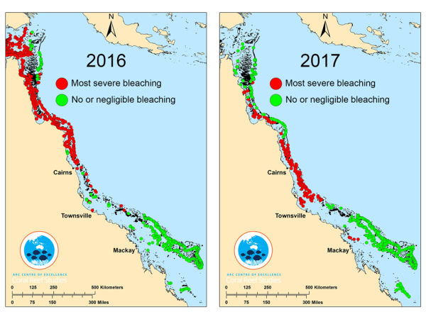 ARC Centre of Excellence for Coral Reef Studies