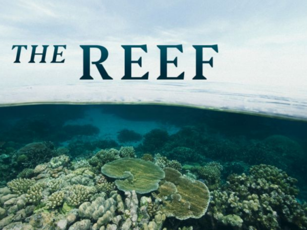 7.30 The Reef image.png