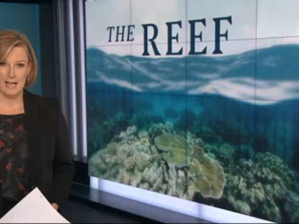 7.30 The Reef Leigh Sales.png