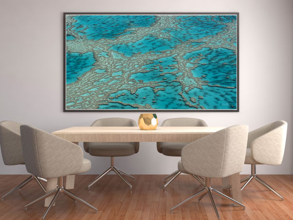 Coral Veins_Boardroom.jpg