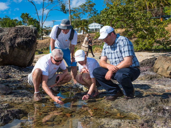 ReefBlitz 2014