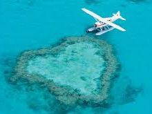 heart-reef-plane-jpg.jpg