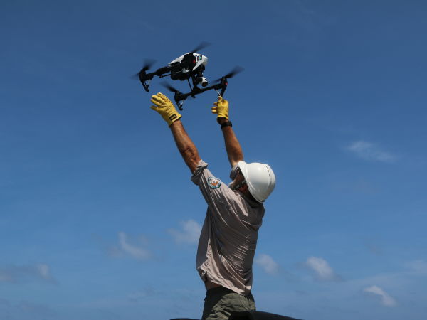 Using drones at Raine Island