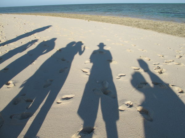 Island walk Heron Island