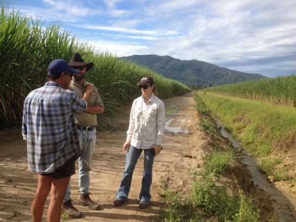 Photo Credit-Queensland Farmers Federation. MIP site assessment.jpg