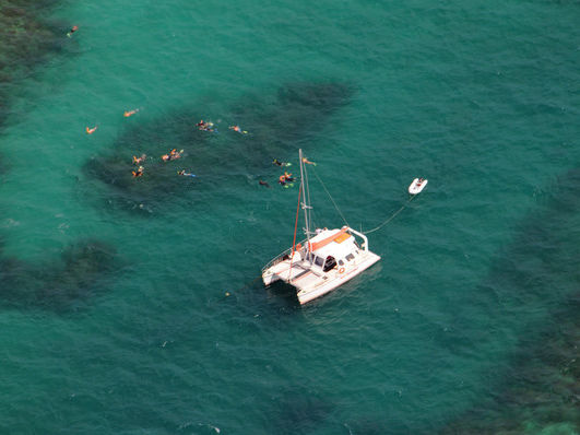 tourist catamaran on a reef offshore from Cairns, with snorkellors in the water beside the boat.jpg