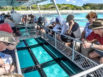 viewing-coral-from-glass-bottom-boat.jpg