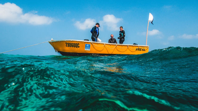 Reef Trust Partnership