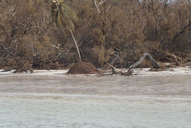 Beach erosion at Whitehaven Beach following Tropical Cyclone Debbie