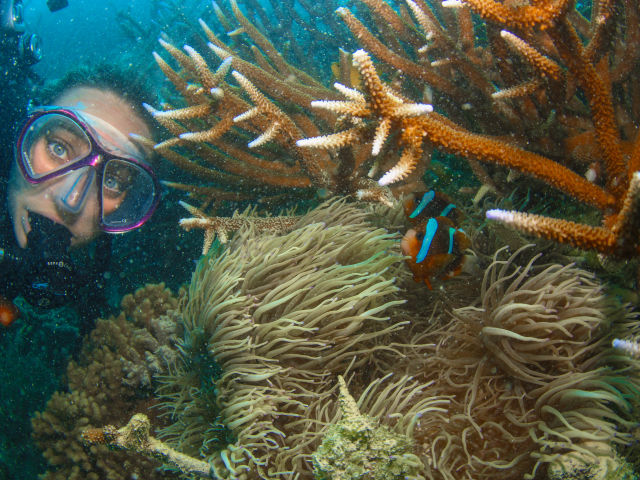 Hardy Reef in the Whitsundays post Cyclone Debbie