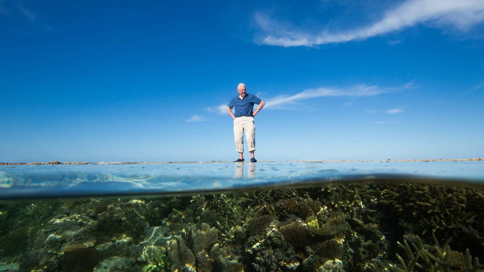 David Attenborough on the Great Barrier Reef